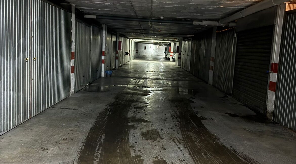 WhatsApp Image 2026-02-03 at 12.54.57 (2)